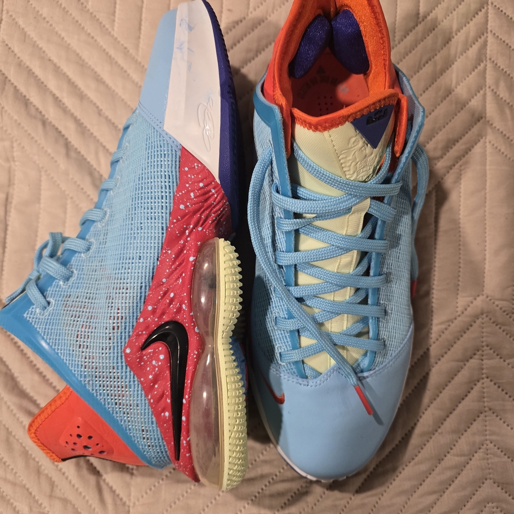 Nike LeBron 19 Low ‘Blue Chill’ Size 10.5 – Deadstock, Bold Court Energy